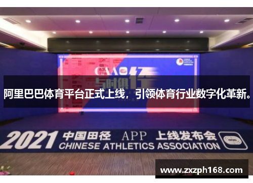 阿里巴巴体育平台正式上线，引领体育行业数字化革新。